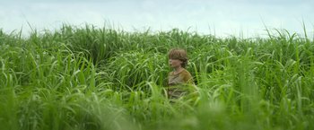 Movie still from “In the Tall Grass” (2019), directed by Vincenzo Natali – A young boy standing in tall green grass; Wide shot, Low angle