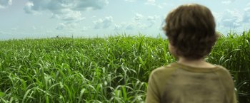 Movie still from “In the Tall Grass” (2019), directed by Vincenzo Natali – A boy is standing in a field of green grass; Extreme Wide shot, Low angle