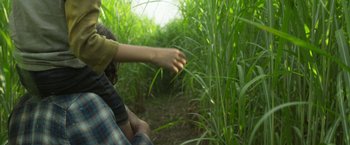 Movie still from “In the Tall Grass” (2019), directed by Vincenzo Natali – A person reaching out to catch something in the grass; Close Up shot, Low angle