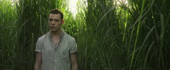 Movie still from “In the Tall Grass” (2019), directed by Vincenzo Natali – A young man standing in a field of tall grass; Medium shot, Low angle