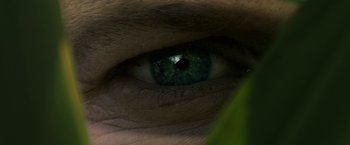 Movie still from “In the Tall Grass” (2019), directed by Vincenzo Natali – A person's green eye; Extreme Close Up shot, Overhead angle
