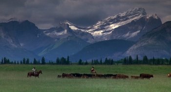 Movie still from “Legends of the Fall” (1994), directed by Edward Zwick – A man herding cattle in a field with mountains in the background; Extreme Wide shot, High angle