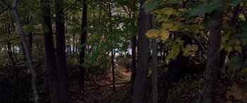 Movie still from “It Follows” (2014), directed by David Robert Mitchell – A view of trees and a trail in the woods; Extreme Wide shot, High angle