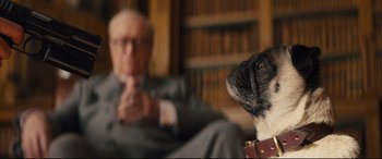 Movie still from “Kingsman: The Secret Service” (2014), directed by Matthew Vaughn – A man sitting in front of a black and white dog; Close Up shot, Over the shoulder angle