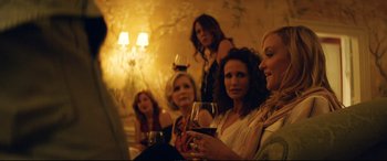 Movie still from “Magic Mike XXL” (2015), directed by Gregory Jacobs – A group of women sitting next to each other holding wine glasses; Medium shot, Over the shoulder angle