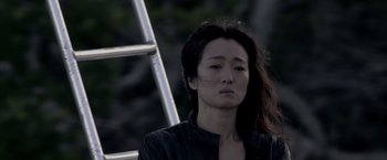 Movie still from “Miami Vice” (2006), directed by Michael Mann – A woman with long black hair is standing in front of a ladder; Close Up shot, Low angle