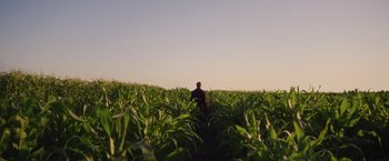 Movie still from “Monster” (2022), directed by Clement Virgo – A man standing in the middle of a corn field; Extreme Wide shot, Low angle