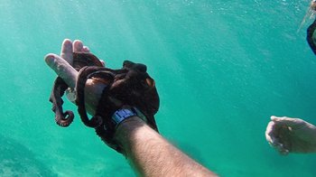 Movie still from “My Octopus Teacher” (2020), directed by Pippa Ehrlich – A person holding onto a rope while swimming in the ocean; Extreme Close Up shot, Overhead angle