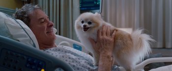 Movie still from “No Strings Attached” (2011), directed by Ivan Reitman – A person petting a dog in a hospital bed; Medium shot, Over the shoulder angle