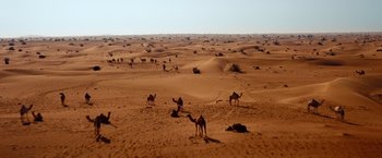 Movie still from “Mission: Impossible - Ghost Protocol” (2011), directed by Brad Bird – A group of camels in the middle of the desert; Extreme Wide shot, High angle