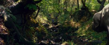 Movie still from “Okja” (2017), directed by Bong Joon Ho – A person standing on a rocky path in the woods; Extreme Wide shot, High angle