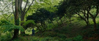 Movie still from “Okja” (2017), directed by Bong Joon Ho – A man standing on a trail in the woods; Extreme Wide shot, High angle