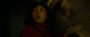 Movie still from “Okja” (2017), directed by Bong Joon Ho – A young girl in a red jacket looking up; Close Up shot, Low angle