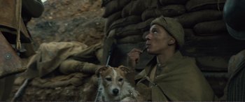 Movie still from “1917” (2019), directed by Sam Mendes – A man and a dog in a field; Medium shot, High angle