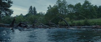 Movie still from “1917” (2019), directed by Sam Mendes – A body of water surrounded by trees and bushes; Extreme Wide shot, High angle