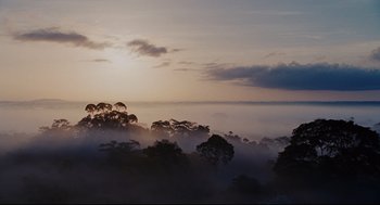 Movie still from “Apocalypto” (2006), directed by Mel Gibson – Extreme Wide shot, High angle