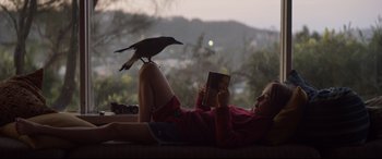Movie still from “Penguin Bloom” (2020), directed by Glendyn Ivin – A bird sitting on a girl's lap while reading a book; Wide shot, Low angle