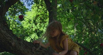 Movie still from “Pieces of a Woman” (2020), directed by Kornél Mundruczó – A little girl sitting on top of a tree branch; Medium shot, Low angle