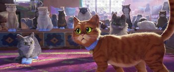 Movie still from “Puss in Boots: The Last Wish” (2022), directed by Januel Mercado – A cat is standing in front of a group of cats; Close Up shot, Over the shoulder angle