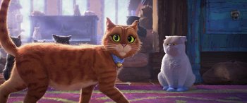 Movie still from “Puss in Boots: The Last Wish” (2022), directed by Januel Mercado – An animated cat with another cat in the background; Close Up shot, Over the shoulder angle