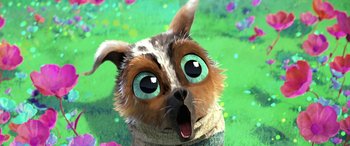 Movie still from “Puss in Boots: The Last Wish” (2022), directed by Januel Mercado – An animal with big blue eyes is looking at the camera; Close Up shot, Low angle