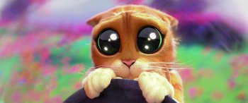 Movie still from “Puss in Boots: The Last Wish” (2022), directed by Januel Mercado – An orange and white cat with green eyes looking at the camera; Close Up shot, High angle