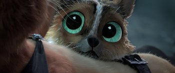 Movie still from “Puss in Boots: The Last Wish” (2022), directed by Januel Mercado – The eyes of a cat; Extreme Close Up shot, Overhead angle