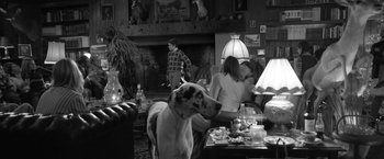 Movie still from “Roma” (2018), directed by Alfonso Cuarón – A dog sitting in front of a group of people in a room; Wide shot, Over the shoulder angle