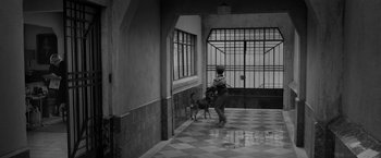 Movie still from “Roma” (2018), directed by Alfonso Cuarón – A boy and a dog are playing in a building; Wide shot, High angle