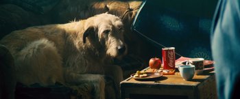 Movie still from “Rush” (2013), directed by Ron Howard – A dog sitting on a chair next to a table with food on top of it; Wide shot, High angle