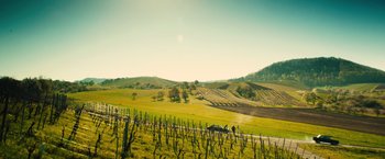 Movie still from “Rush” (2013), directed by Ron Howard – A field with a bunch of vines growing on it; Extreme Wide shot, High angle