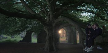 Movie still from “Sex Education” (2019), created by Laurie Nunn – A large tree in the middle of a forest; Extreme Wide shot, Low angle