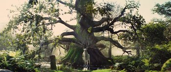 Movie still from “Snow White and the Huntsman” (2012), directed by Rupert Sanders – An animal standing in front of a large tree in the woods; Wide shot, Low angle