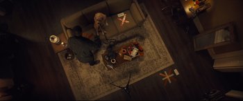 Movie still from “Synchronic” (2019), directed by Justin Benson – An overhead view of a man and a dog in a living room; Wide shot, Overhead angle