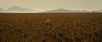 Movie still from “Texas Chainsaw Massacre” (2022), directed by David Blue Garcia – A man laying in the middle of a field of flowers; Extreme Wide shot, High angle