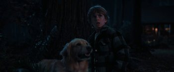 Movie still from “The Adam Project” (2022), directed by Shawn Levy – A boy and a dog in a dark forest at night; Medium shot, Over the shoulder angle