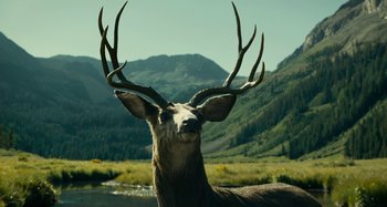 Movie still from “The Ballad of Buster Scruggs” (2018), directed by Joel Coen – Wide shot, Low angle