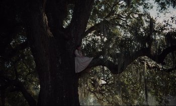 Movie still from “The Beguiled” (2017), directed by Sofia Coppola – A woman sitting on top of a large tree; Extreme Wide shot, Low angle