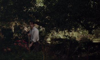 Movie still from “The Beguiled” (2017), directed by Sofia Coppola – A man standing next to a tree with a shovel; Medium shot, High angle