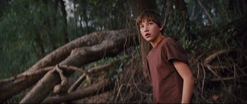 Movie still from “Mud” (2012), directed by Jeff Nichols – A young boy standing in front of a fallen tree; Medium shot, Low angle