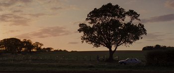 Movie still from “Never Let Me Go” (2010), directed by Mark Romanek – A person standing next to a tree in a field; Extreme Wide shot, Low angle