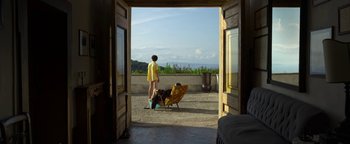 Movie still from “The Hand of God” (2021), directed by Paolo Sorrentino – A woman and a dog are standing in a doorway; Extreme Wide shot, High angle
