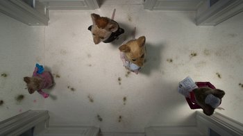 Movie still from “The House” (2022), directed by Paloma Baeza – Two cats sitting on top of the floor looking up at the camera; Wide shot, Overhead angle