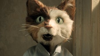 Movie still from “The House” (2022), directed by Paloma Baeza – A stuffed animal cat with green eyes and a white shirt; Close Up shot, High angle