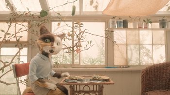 Movie still from “The House” (2022), directed by Paloma Baeza – A cat sitting on top of a wooden table in front of a window; Medium shot, Over the shoulder angle