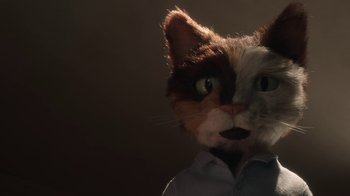 Movie still from “The House” (2022), directed by Paloma Baeza – A cat wearing a white shirt and a brown shirt; Close Up shot, High angle