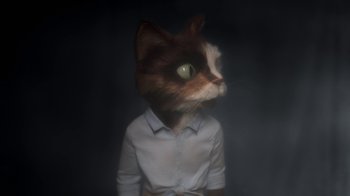 Movie still from “The House” (2022), directed by Paloma Baeza – A cat wearing a white shirt and a white shirt collar; Close Up shot, High angle