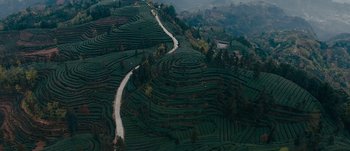 Movie still from “The Laundromat” (2019), directed by Steven Soderbergh – An aerial view of a winding road through a tea field; Extreme Wide shot, High angle