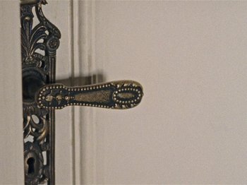 Movie still from “The Metamorphosis of Birds” (2020), directed by Catarina Vasconcelos – Extreme Close Up shot, High angle