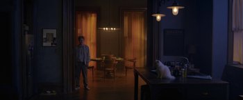 Movie still from “The Woman in the Window” (2021), directed by Joe Wright – A man standing in a living room next to a table with a cat; Wide shot, Over the shoulder angle